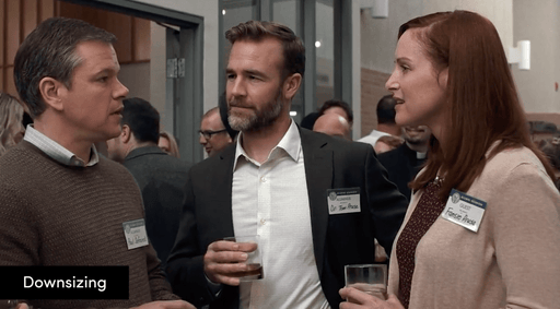 Alison J Palmer | Downsizing